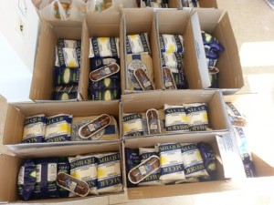 Ndihma-per-skamnoret-idea-ulqin