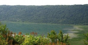 Liqeni-shasit
