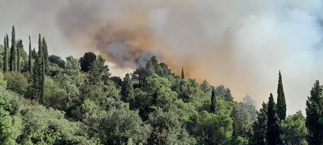 Zjarri i madh në Ulqin, digjet pylli me pisha në kodrën e Pinjeshit