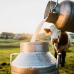 Komuna e Ulqinit ndan premi për 69 prodhues të qumështit