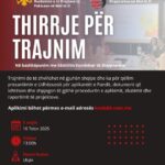 Trajnim në gjuhën shqipe për aplikimin në Fondin për të Drejtat e Pakicave