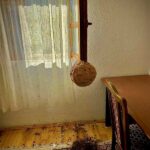 Kur natyra bëhet rojtarja e dhomës së Rexhep Qosjes