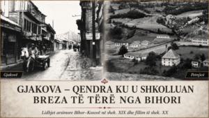 Gjakova – qendra ku u shkolluan breza të tërë nga Bihori
